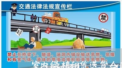 室内绿植租赁送货合同怎么写/2023041440482