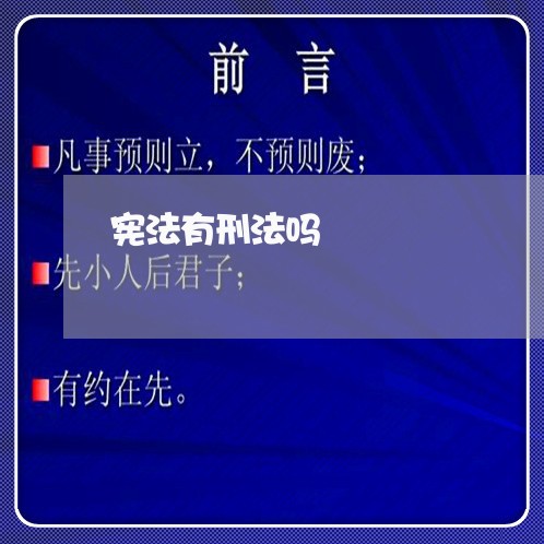 宪法有刑法吗