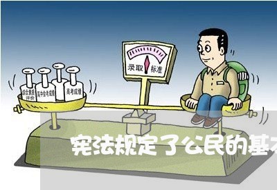 宪法规定了公民的基本权利有