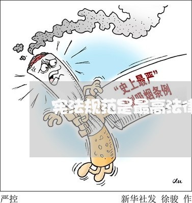 宪法规范是最高法律规范 宪法规范是最高法律规范