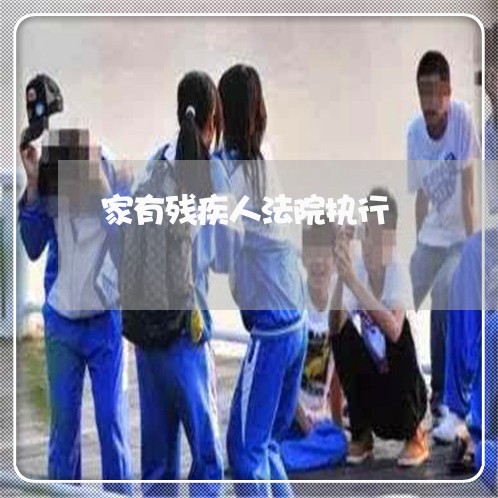 家有残疾人法院执行