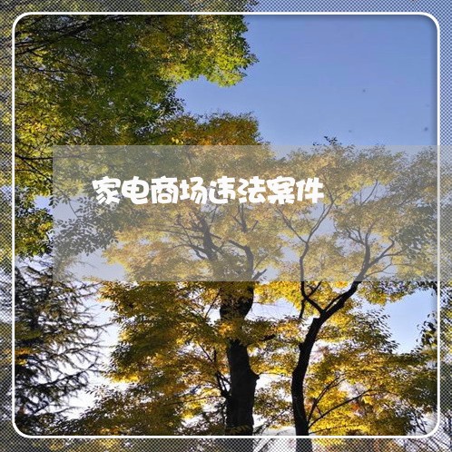 家电商场违法案件