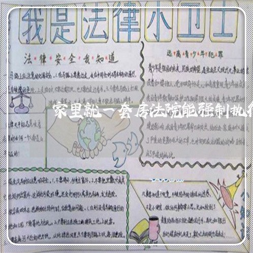 家里就一套房法院能强制执行