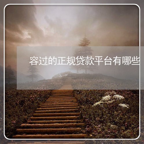 容过的正规贷款平台有哪些