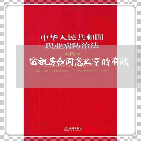 密租房合同怎么写的有效/2023011740593