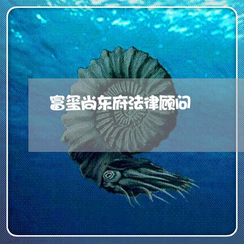 富玺尚东府法律顾问/2023061974824