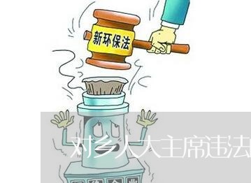 对乡人大主席违法的处理