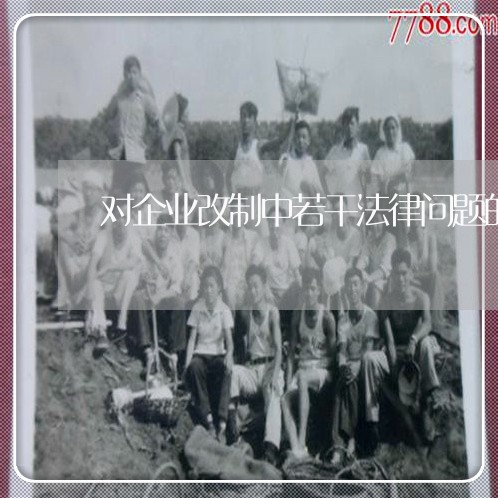 对企业改制中若干法律问题的思考