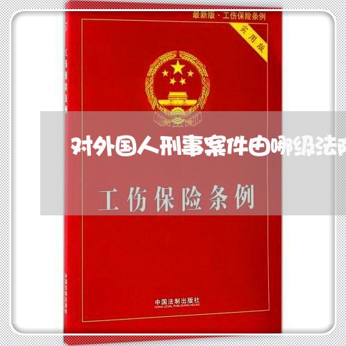 对外国人刑事案件由哪级法院管