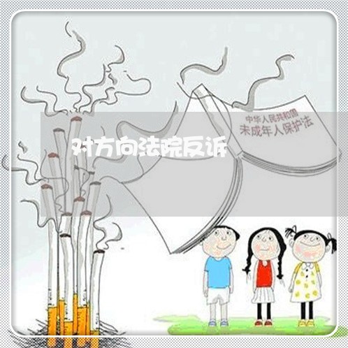 对方向法院反诉 对方向法院反诉