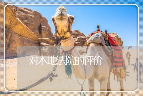 对本地法院的评价 对本地法院的评价