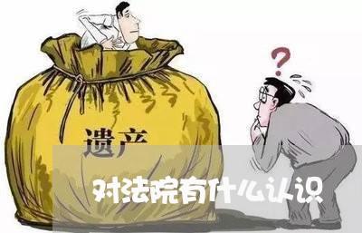 对法院有什么认识