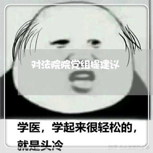 对法院院党组提建议