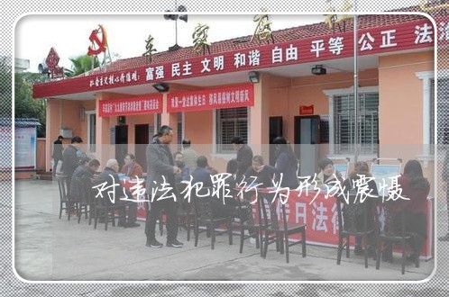 对违法犯罪行为形成震慑 对违法犯罪行为形成震慑