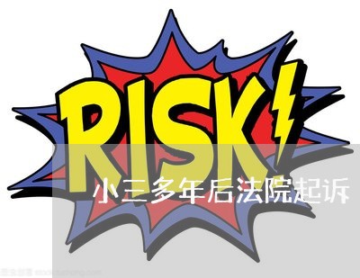 小三多年后法院起诉 小三多年后法院起诉