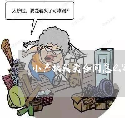 小产权买卖合同怎么写/2023011625241 小产权买卖合同怎么写/2023011625241