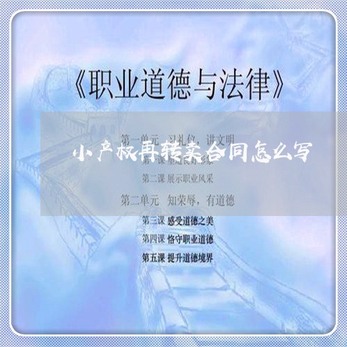 小产权再转卖合同怎么写/2023022624147 小产权再转卖合同怎么写/2023022624147
