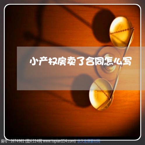 小产权房卖了合同怎么写/2023022703250
