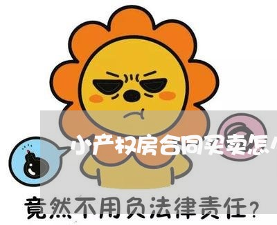 小产权房合同买卖怎么写/2023041247379 小产权房合同买卖怎么写/2023041247379