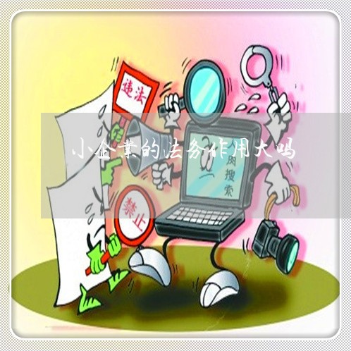 小企业的法务作用大吗 小企业的法务作用大吗