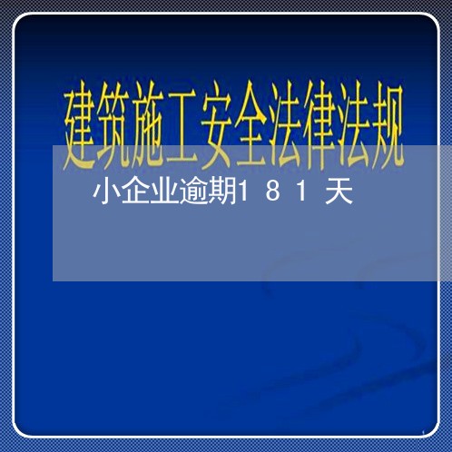 小企业逾期181天
