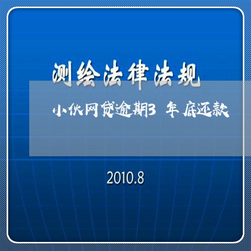 小伙网贷逾期3年底还款/2023120550582