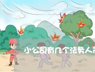 小公司有几个法务人员 小公司有几个法务人员