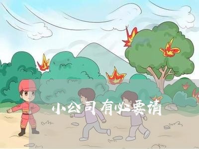 小公司有必要请