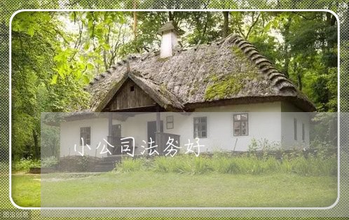 小公司法务好 小公司法务好