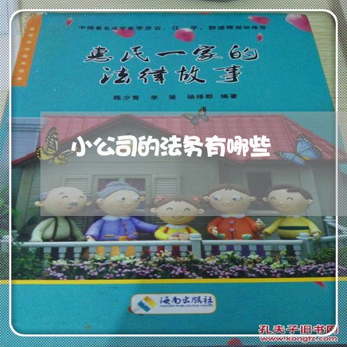 小公司的法务有哪些