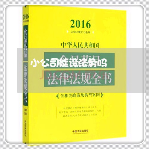 小公司能设法务吗 小公司能设法务吗