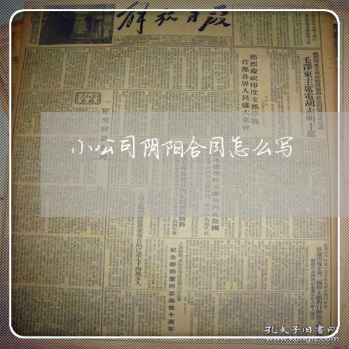 小公司阴阳合同怎么写/2023011618481 小公司阴阳合同怎么写/2023011618481