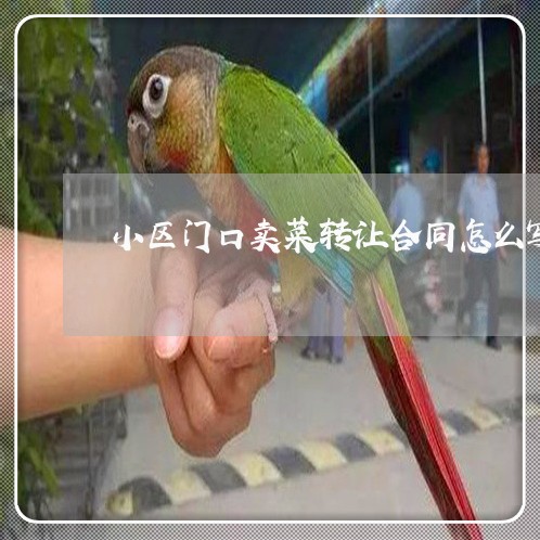 小区门口卖菜转让合同怎么写/2023022694060