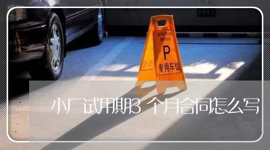 小厂试用期3个月合同怎么写/2023060828260