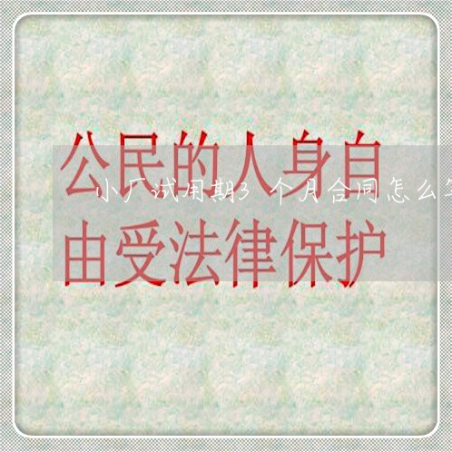 小厂试用期3个月合同怎么写/2023060853716