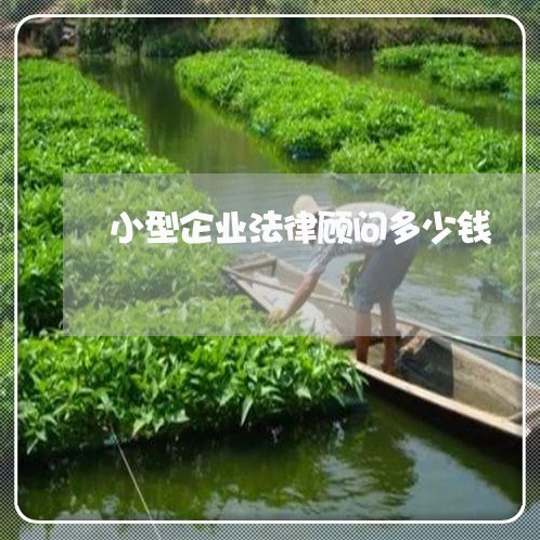 小型企业法律顾问多少钱 小型企业法律顾问多少钱