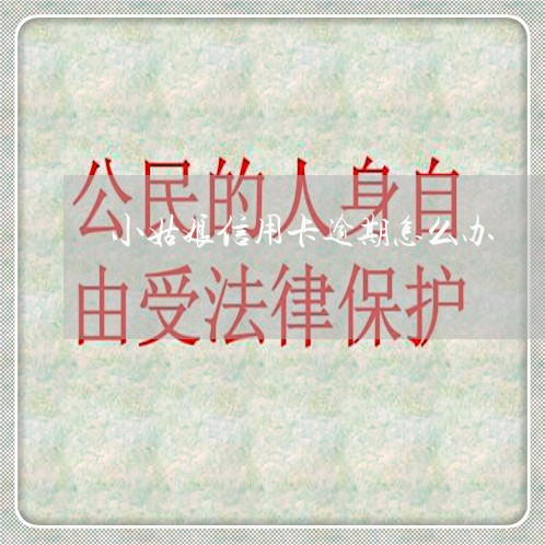 小姑娘信用卡逾期怎么办 小姑娘信用卡逾期怎么办