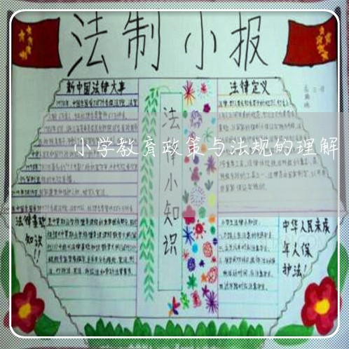 小学教育政策与法规的理解