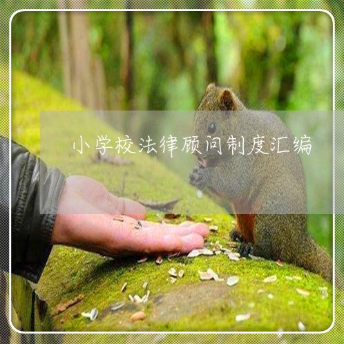 小学校法律顾问制度汇编 小学校法律顾问制度汇编