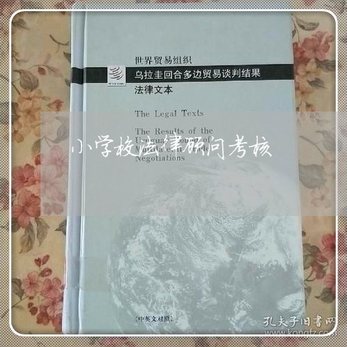 小学校法律顾问考核