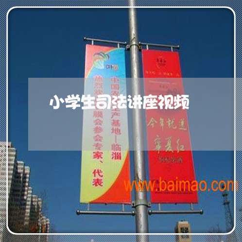 小学生司法讲座视频