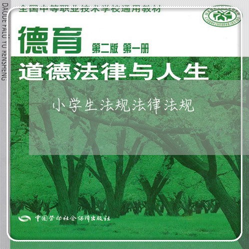 小学生法规法律法规 小学生法规法律法规
