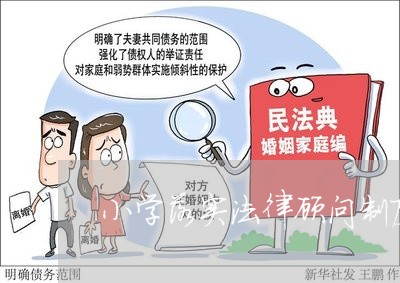小学落实法律顾问制度计划