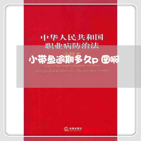 小带鱼逾期多久p图啊 小带鱼逾期多久p图啊
