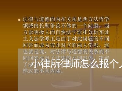 小律所律师怎么报个人所得税/2023060374605