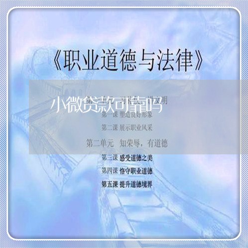 小微贷款可靠吗/2023020681597