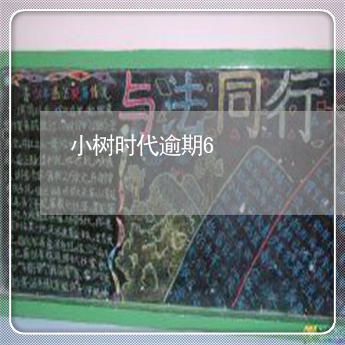 小树时代逾期6 小树时代逾期6