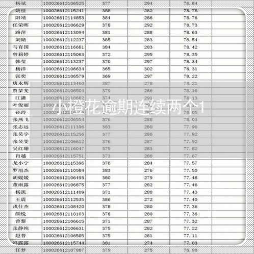 小橙花逾期连续两个1/2023120868352