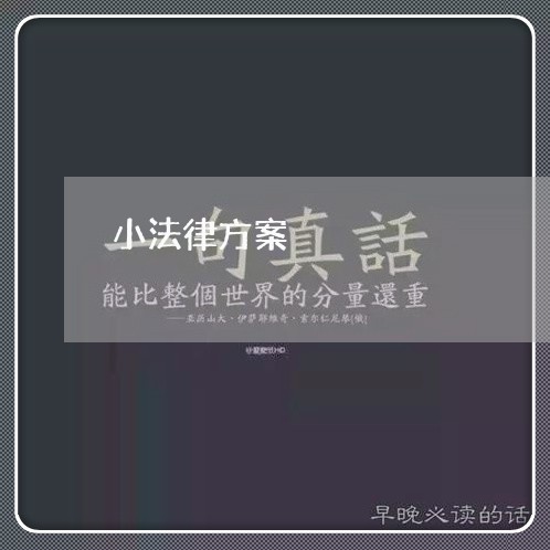 小法律方案