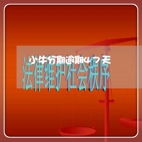 小牛分期逾期47天
